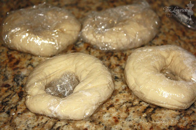 Freezing Homemade Bagel Dough