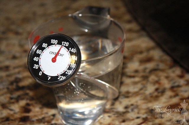 Homemade Bagel Water