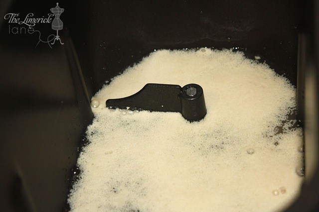 Homemade Bagel Yeast Foaming