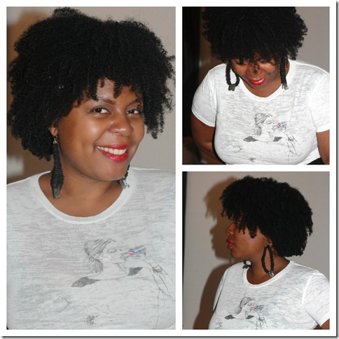 Natural Hair Wet and Go