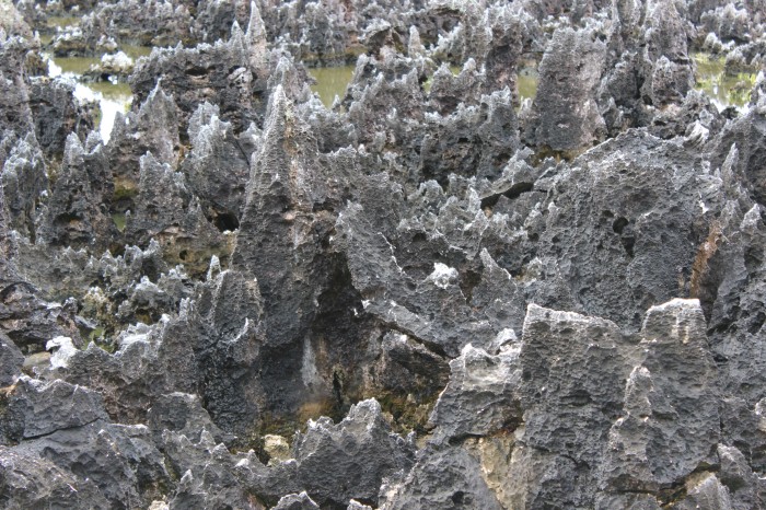 hell-grand-cayman-lava-rocks