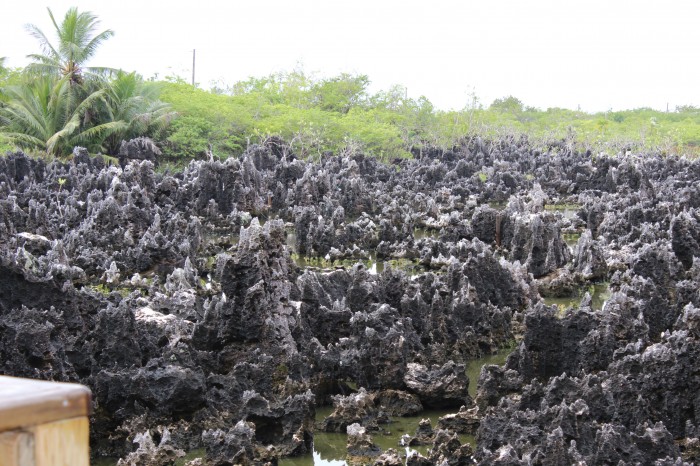 lava-rocks-hell-grand-cayman