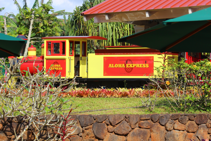 aloha-express