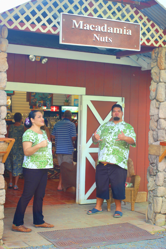 macadamia-nut-farm
