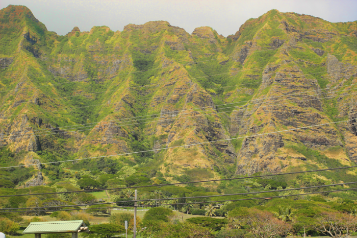 ohau-scenic--view
