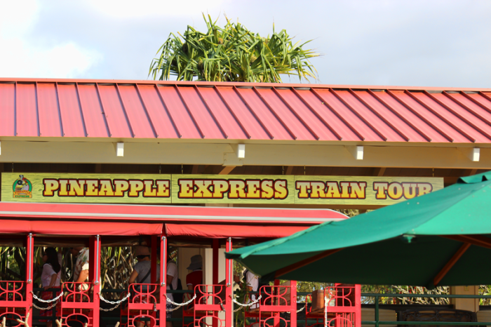 pineapple-express-hawaii