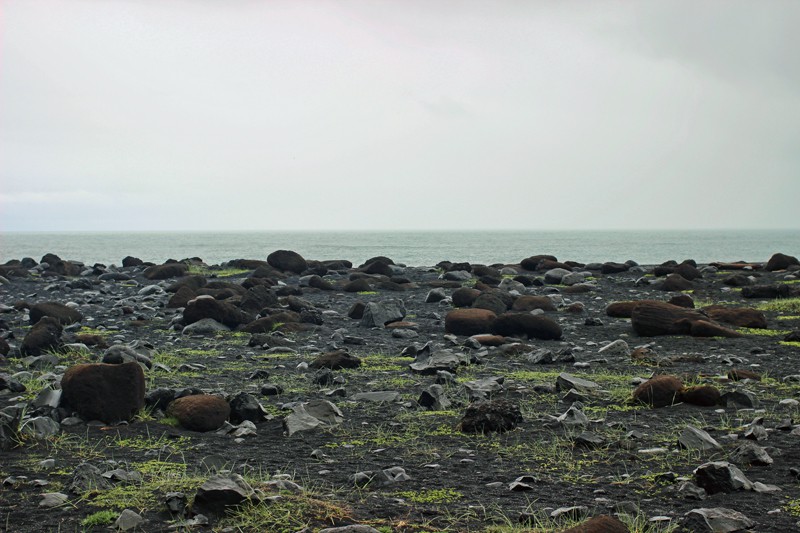 Black beach in Reykjavík Iceland